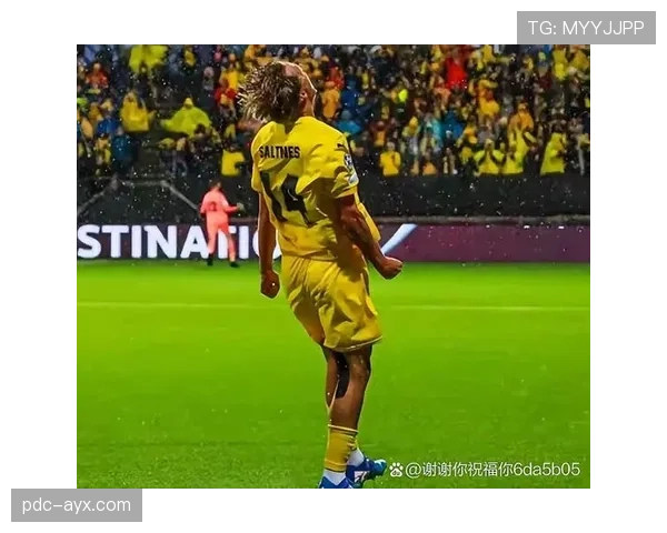 Vini闪耀欧冠淘汰赛，高效发挥助力球队强势晋级