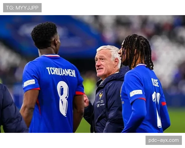 楚阿梅尼世界杯表现稳健，助法国队晋级关键战役引发广泛关注