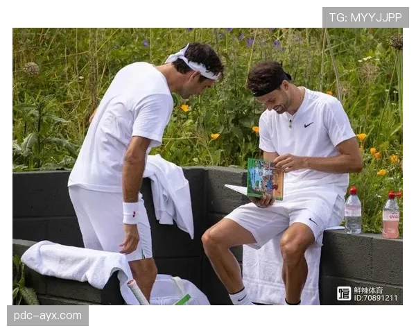 费德勒遛娃的后院直接变迷你球场，我的周末观念彻底崩了