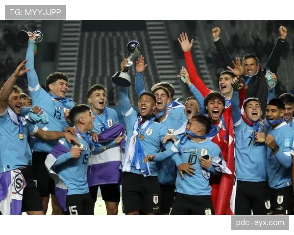 巴拿马队能否重返2026世界杯？晋级前景与阵容分析
